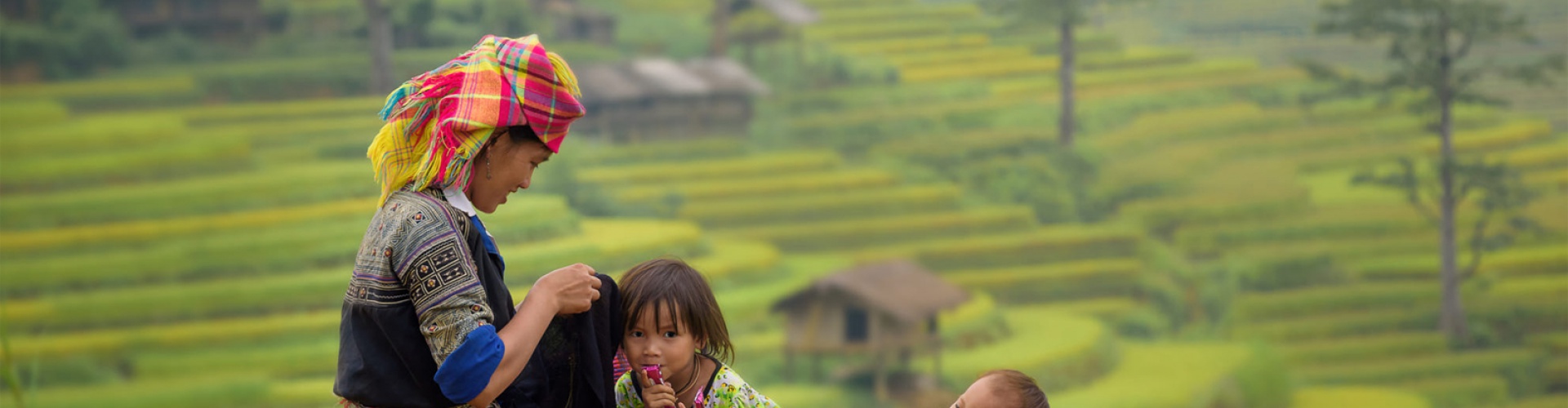 Blog trongMiền Bắc